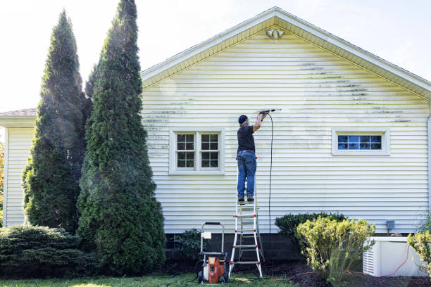 Best Roof Pressure Washing  in Moraga, CA